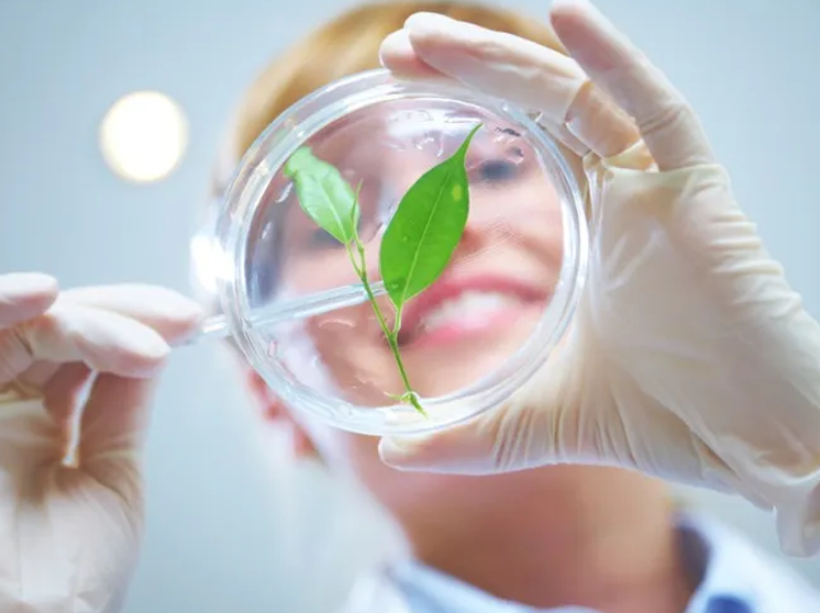 Study Environmental Science  Courses Abroad
